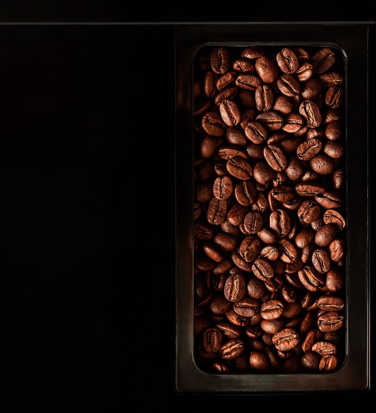 Roasted coffee beans in a bean-to-pre machine's chute